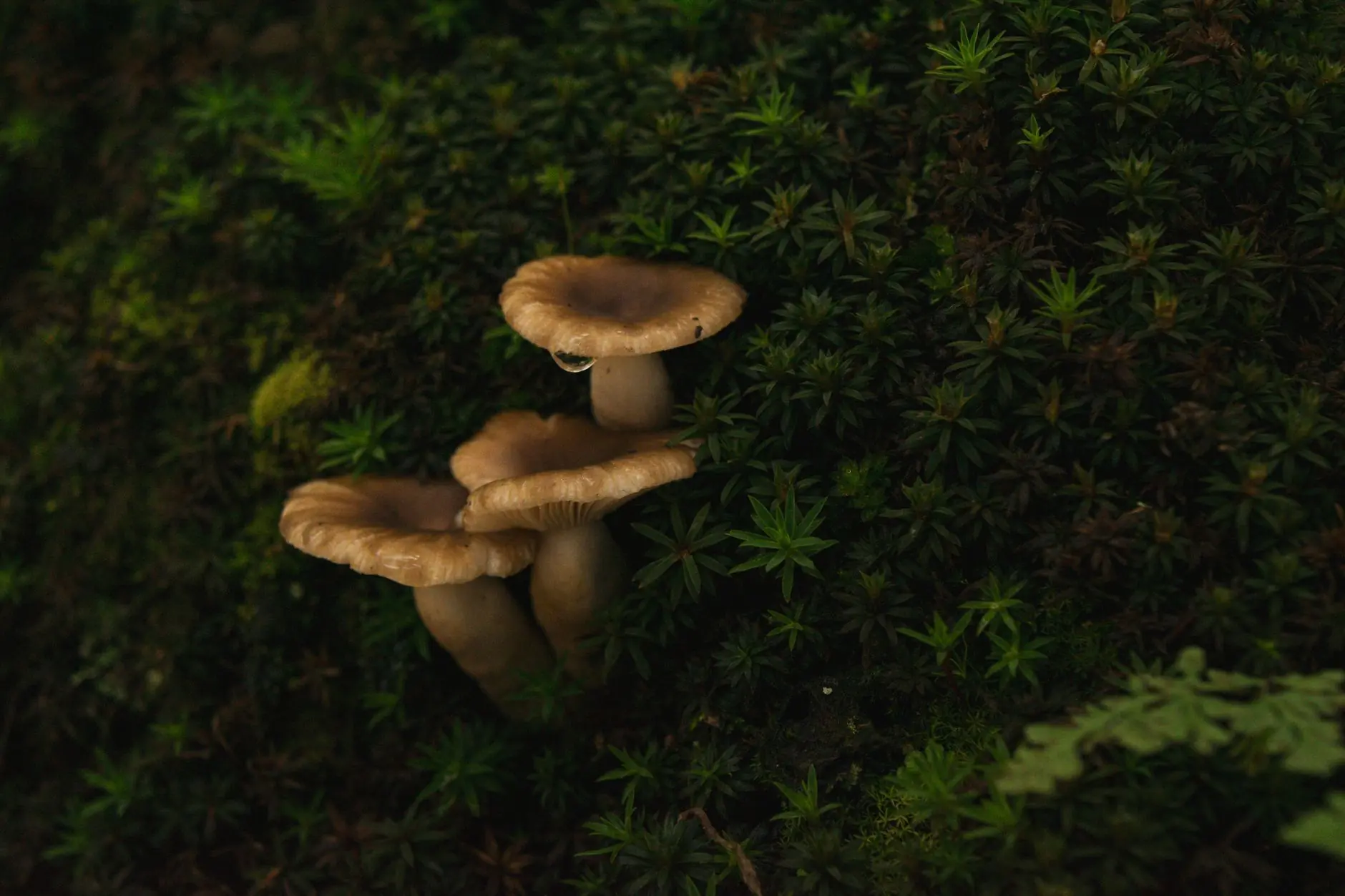 信号中继器与集线器在工业现场布线中的选型对比分析