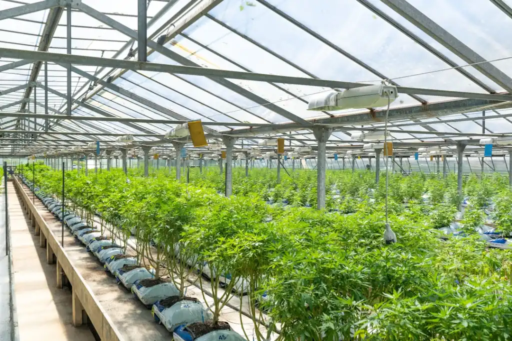 工业现场长距离通信中信号中继器的选型要点与隔离方案